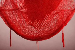 宠物网织红染色步骤 宠物网织红染色步骤是什么