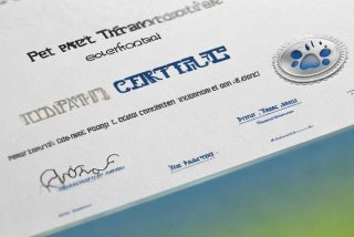 宠物运输合作证明 宠物运输合作证明怎么写