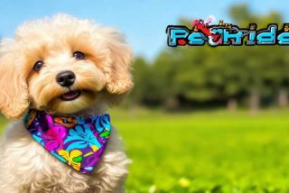 宠物品牌名；宠物品牌名称