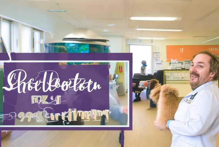 宠物医生招聘简章pdf免费下载(宠物医生招聘简章pdf免费下载百度云) 宠物医生招聘简章pdf免费下载(宠物医生招聘简章pdf免费下载百度云)