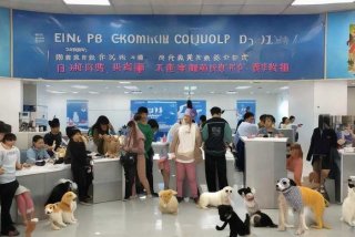 成都宠物美容培训学校官方电话、成都宠物美容培训学校官方电话号码