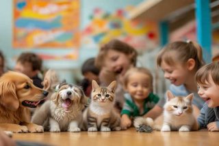 宠物领养网正规免费领养宠物，宠物领养正规网站