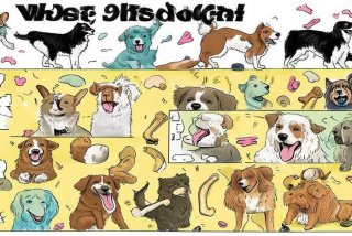 宠物犬智商排行，宠物犬智商排行榜