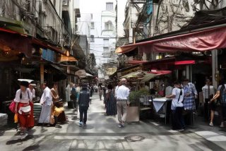 石家庄宠物托运流程，石家庄宠物托运流程及费用