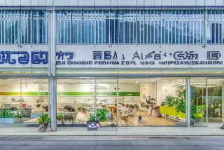 重庆宠物医院连锁店排名、重庆宠物医院连锁店排名榜