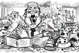 养宠物养不住怎么回事；养宠物养不住怎么回事视频