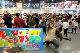 亚洲宠物展门票领取，亚洲宠物展门票领取时间