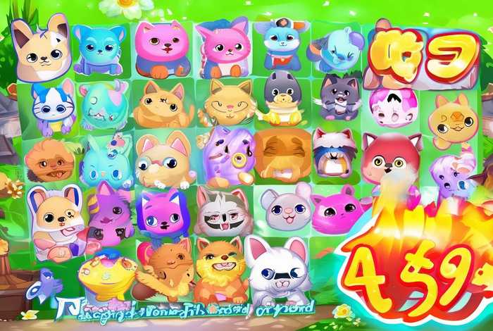 宠物连连看无敌版4399；宠物连连看无敌版4399下载