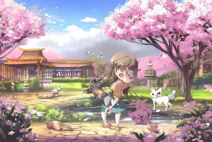 樱花庄的宠物女孩漫画、樱花庄的宠物女孩漫画在哪里看