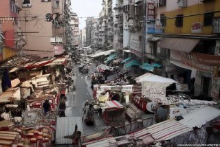 长沙宠物市场狗狗价格；长沙宠物市场狗狗价格多少