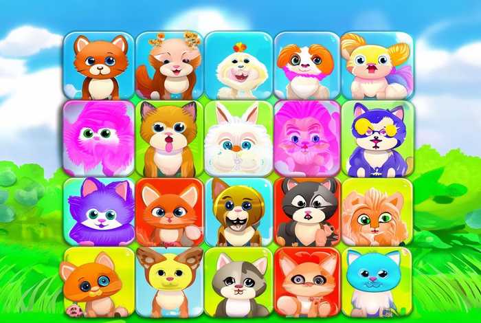 宠物连连看游戏介绍（宠物连连看游戏介绍大全）