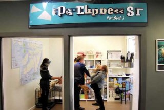 宠物托运需要办理什么手续；宠物托运需要办理什么手续和证件