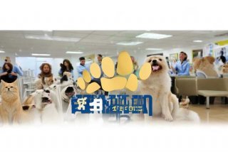 西安宠物医院排名一览表最新 西安宠物医院排名一览表最新价格