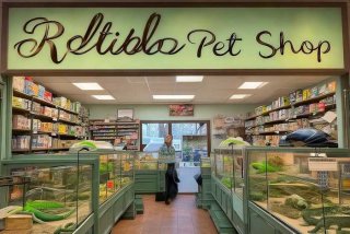 蜥蜴宠物专卖店、蜥蜴宠物专卖店地址