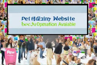 宠物领养网免费，宠物领养网免费同城