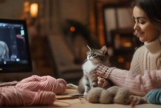 宠物猫咪毛衣编织视频，宠物猫咪毛衣编织视频教程