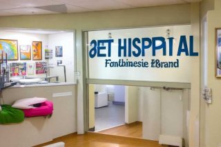 宠物医院加盟品牌（宠物医院加盟连锁哪个品牌好）