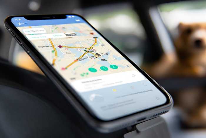 宠物运输怎么查物流（宠物运输怎么查物流信息）