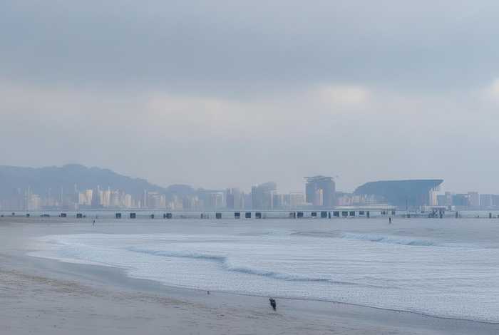 青岛一小区禁止全体业主饲养宠物-发现或将强行带离，青岛一小区物业回应禁养宠物