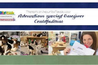 宠物托管师国际资格认证、宠物托管师国际资格认证要多少钱