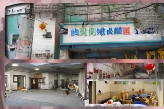 北京宠物寄养学校，北京宠物寄养学校有哪些