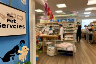 宠物店宠物医疗由哪个部门监管（宠物店宠物医疗由哪个部门监管呢）