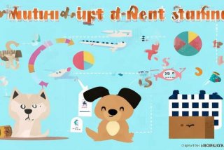 宠物托运费用大概多少；宠物托运费用大概多少钱一个月