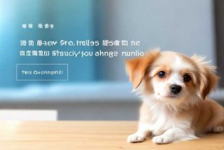 宠物托运官网 - 宠物托运官网查询物流