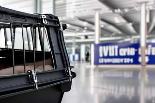 宠物航空托运箱（宠物航空托运箱多少钱）