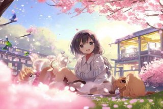 樱花庄的宠物女孩小说叫什么、樱花庄的宠物女孩小说叫什么名字