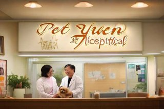 宠缘宠物医院；宠缘宠物医院电话号码