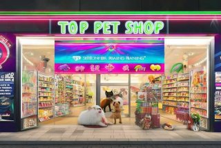 宠物店加盟排行、宠物店加盟品牌排行