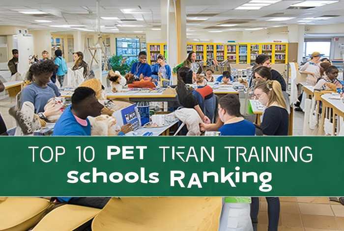 宠物医生培训学校排名 - 宠物医生培训学校排名榜 宠物医生培训学校排名 - 宠物医生培训学校排名榜