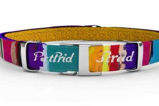 宠物项圈型号，宠物项圈牌子