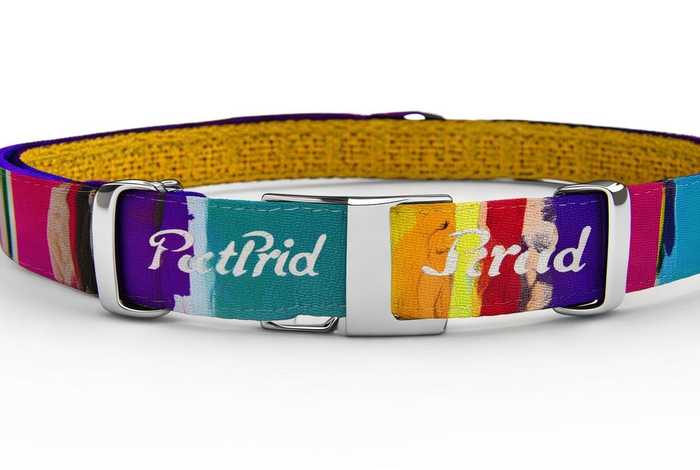 宠物项圈型号，宠物项圈牌子