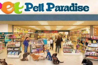 宠物连锁店加盟项目 - 宠物连锁店加盟项目名称