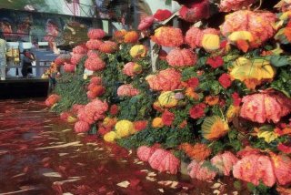 宠物服务一体化、宠物服务一体化背景