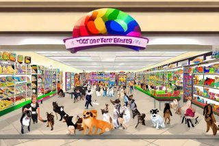 宠物店加盟10大品牌 - 宠物店加盟10大品牌排行榜