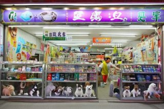 宠物中国张店、中国宠物商店