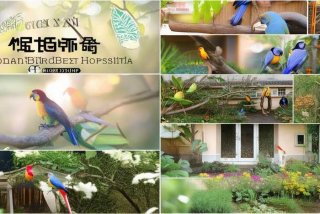 济南鸟类宠物医院；济南鸟类宠物医院哪家好