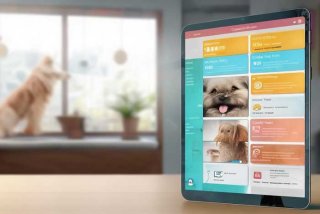 宠物医生咨询平台、宠物医生咨询平台有哪些