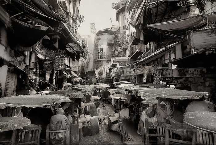 广州宠物市场推荐（广州宠物市场推荐狗狗）