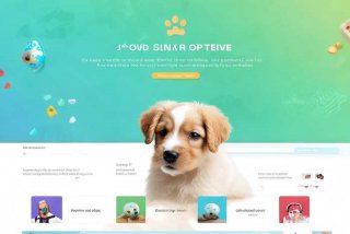 宠物网站官网设计，宠物网站官网设计招聘