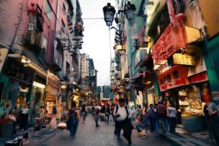 宠物猫多少钱一只泉州，宠物猫多少钱一只泉州生产的