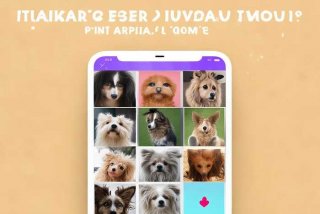 宠物领养app、宠物领养app ios