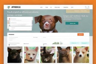 宠物领养网站的设计与实现，宠物领养网站的设计与实现英文