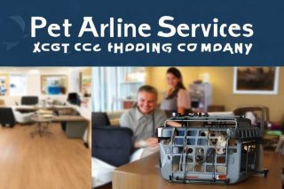 宠物空运公司哪家好（宠物空运公司哪家好一点）