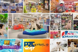 宠物品牌有哪些、宠物品牌有哪些牌子