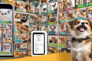 宠物交易平台、58同城宠物交易平台