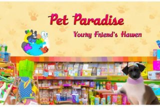 宠物用品店的海报图片 宠物用品店的海报图片素材